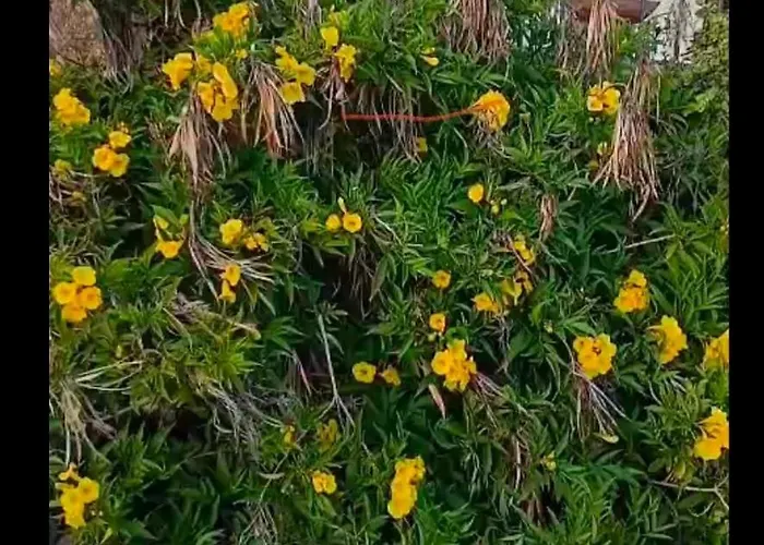 Villa Casa Gaelys House With Sea View *